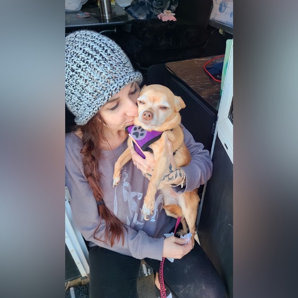 Meet your Posher, Beaudrea - Picture 10 of 11